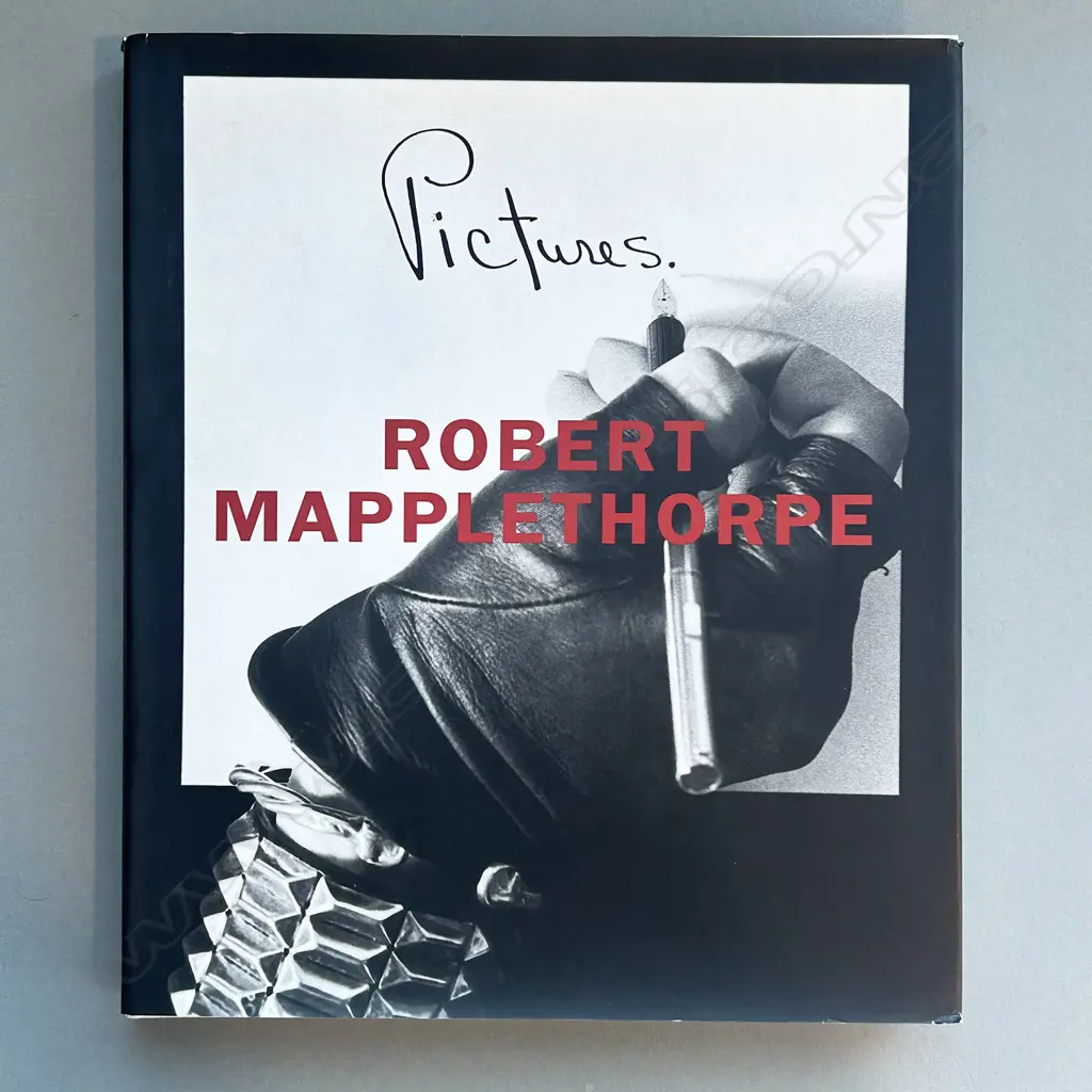 ROBERT MAPPLETHORPE: PICTURES Image 1++